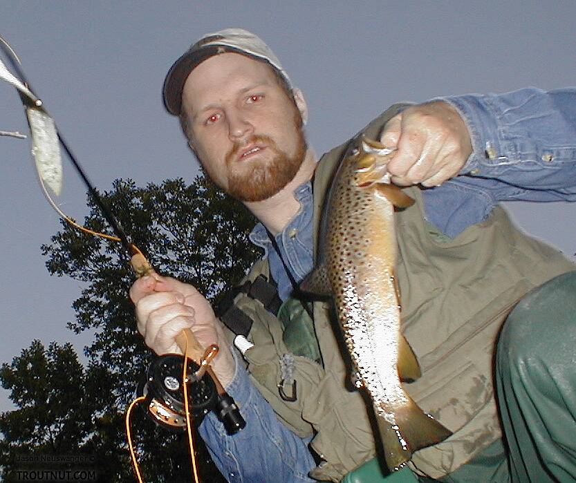 About the Troutnut