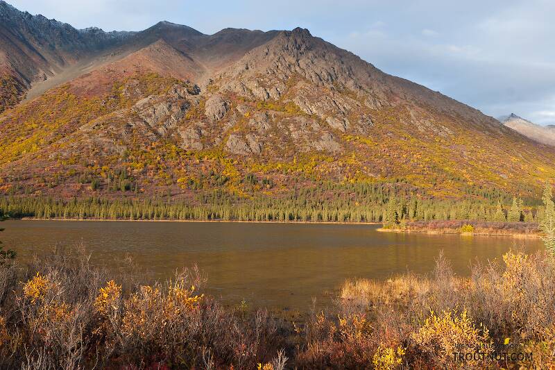 Denali Highway, Alaska