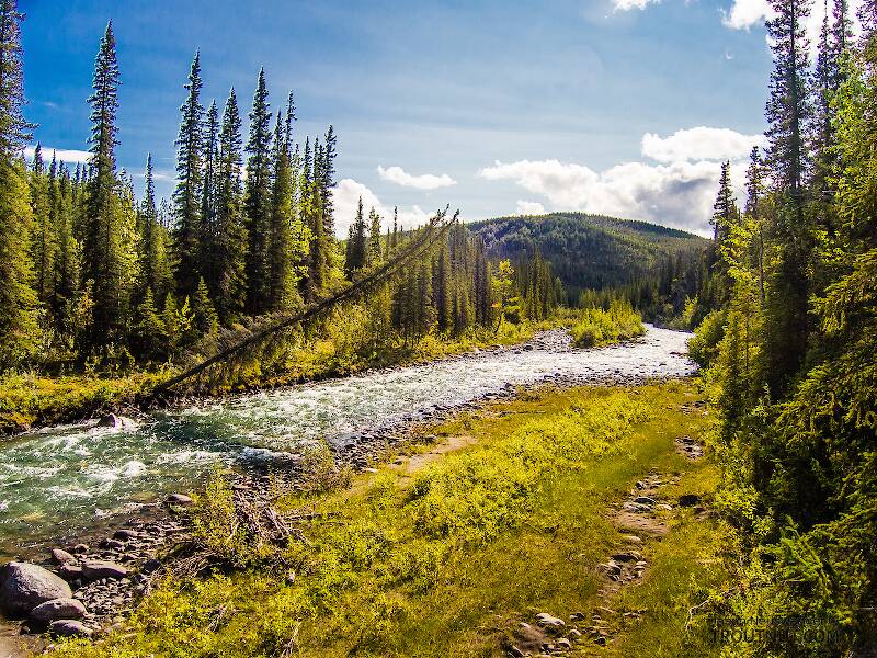 Riley Creek, Alaska