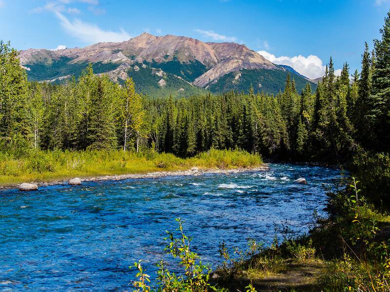 Riley Creek, Alaska