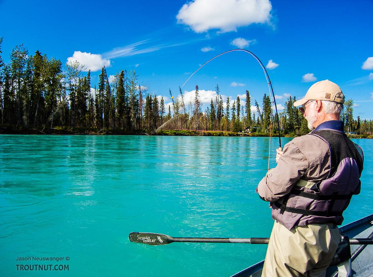 Fishing the Kenai River