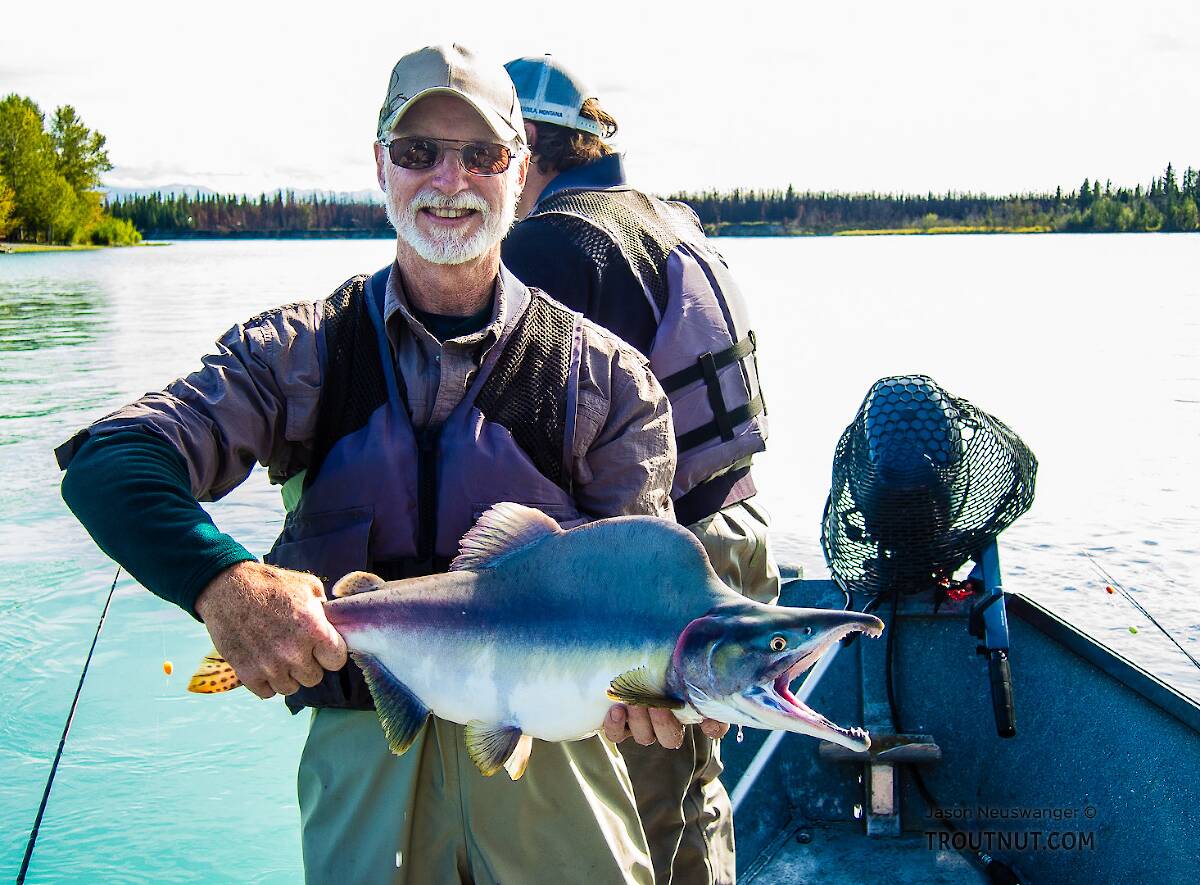 Fishing the Kenai River