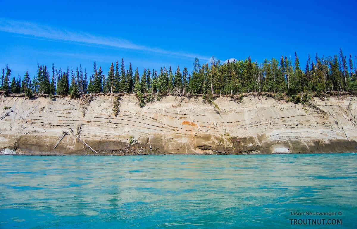 Fishing the Kenai River