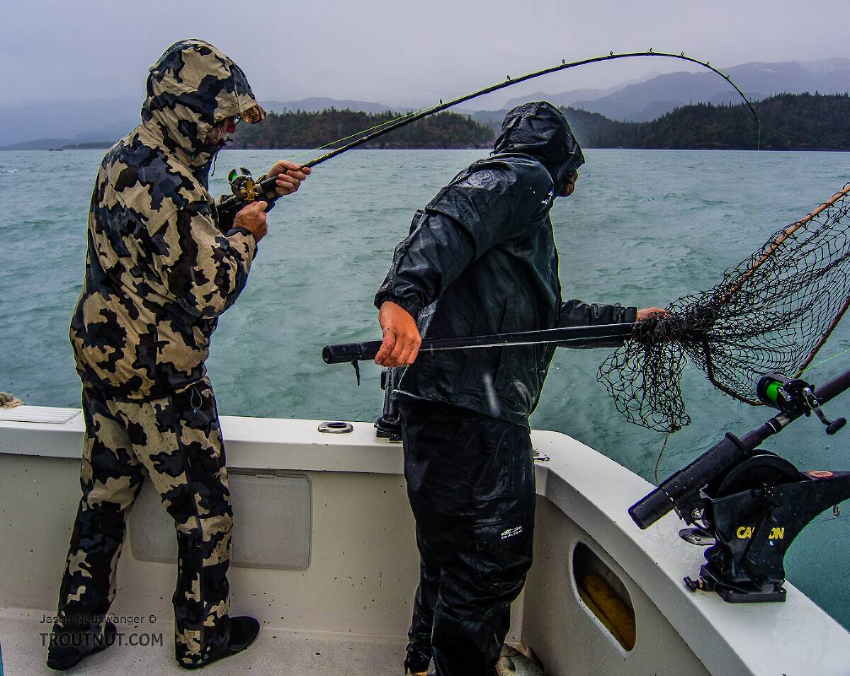 Halibut Rigs For Cook Inlet Fishing Cook Inlet for Halibut and Kachemak Bay for King Salmon