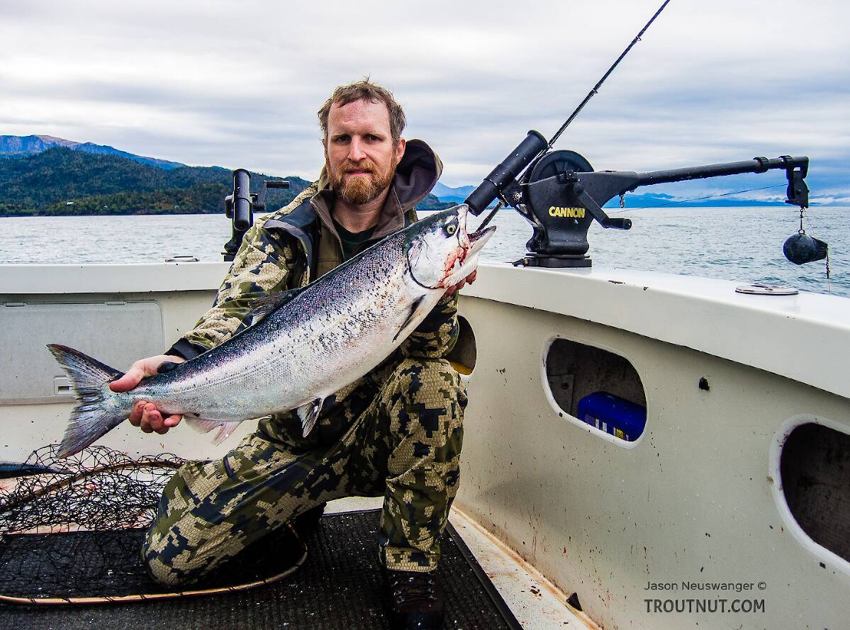 Halibut Rigs For Cook Inlet Fishing Cook Inlet for Halibut and Kachemak Bay for King Salmon