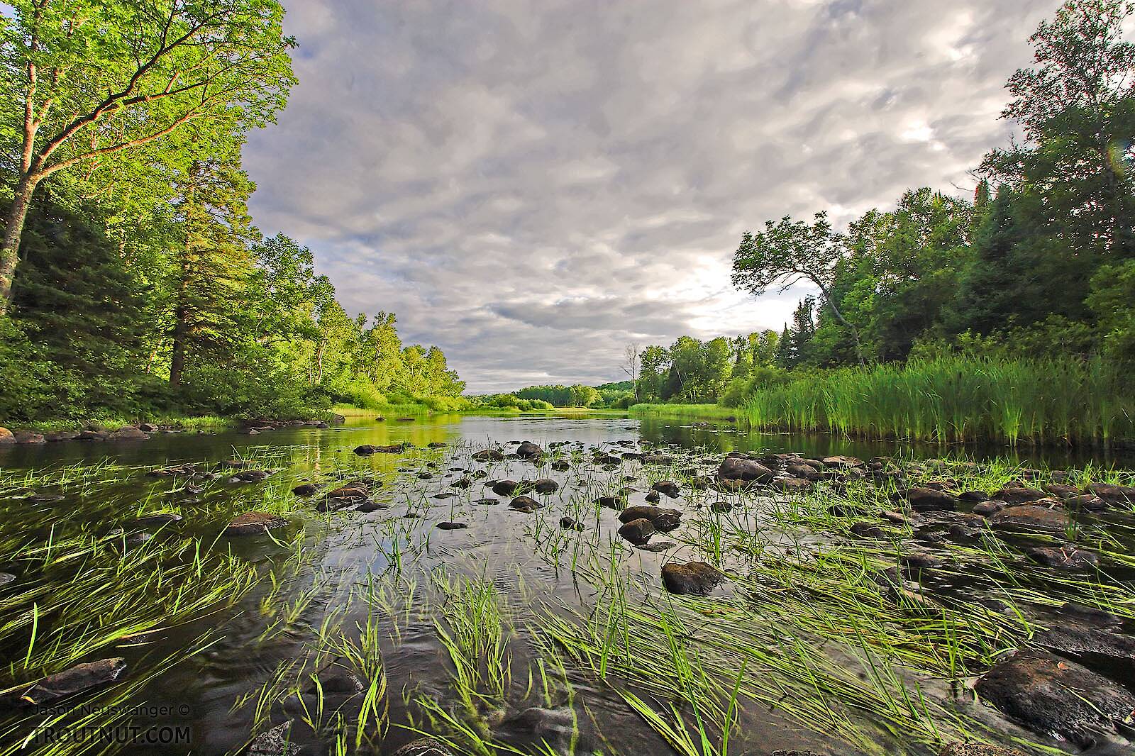 The West Fork of the Chippewa River, Wisconsin