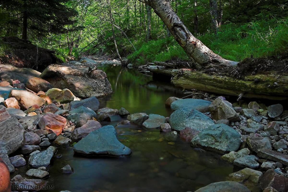 Spring Water Wisconsin Spring Creek, Wisconsin