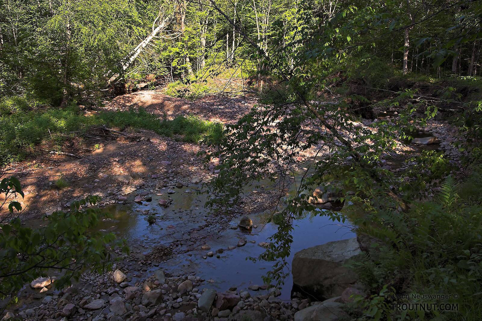 Spring Water Wisconsin Spring Creek, Wisconsin