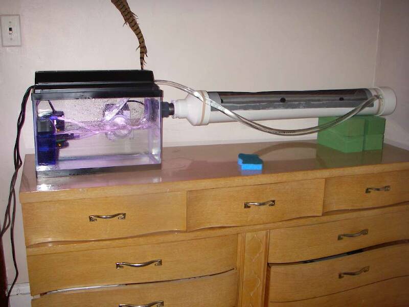 Fake Stream Fish Artificial stream construction report